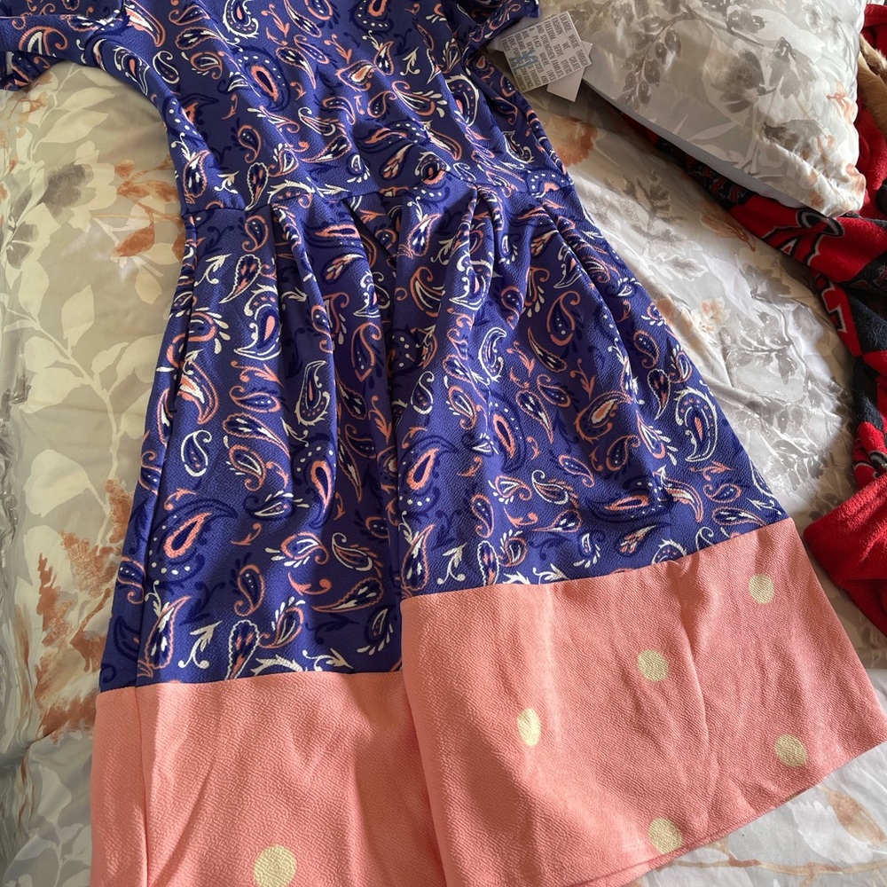 Bundle of brand new Amelia dresses